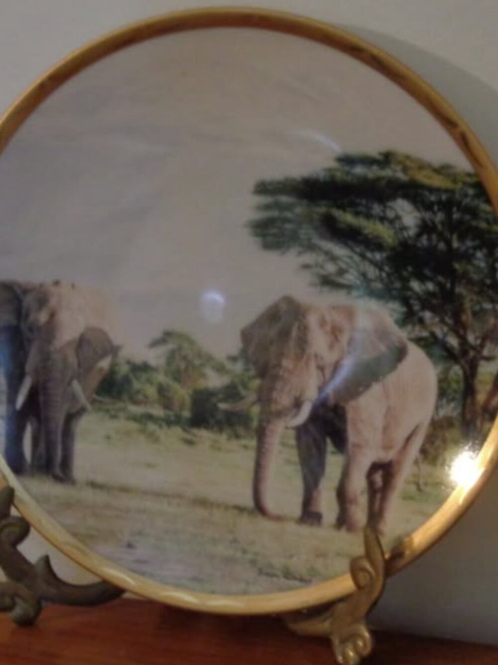 African Accents King of the Plains Decorative Plate